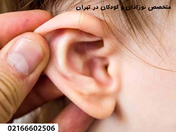www.doctorafshari.ir